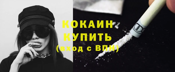 мдпв Козловка