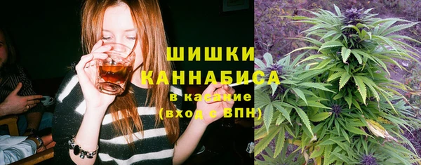 мдпв Козловка